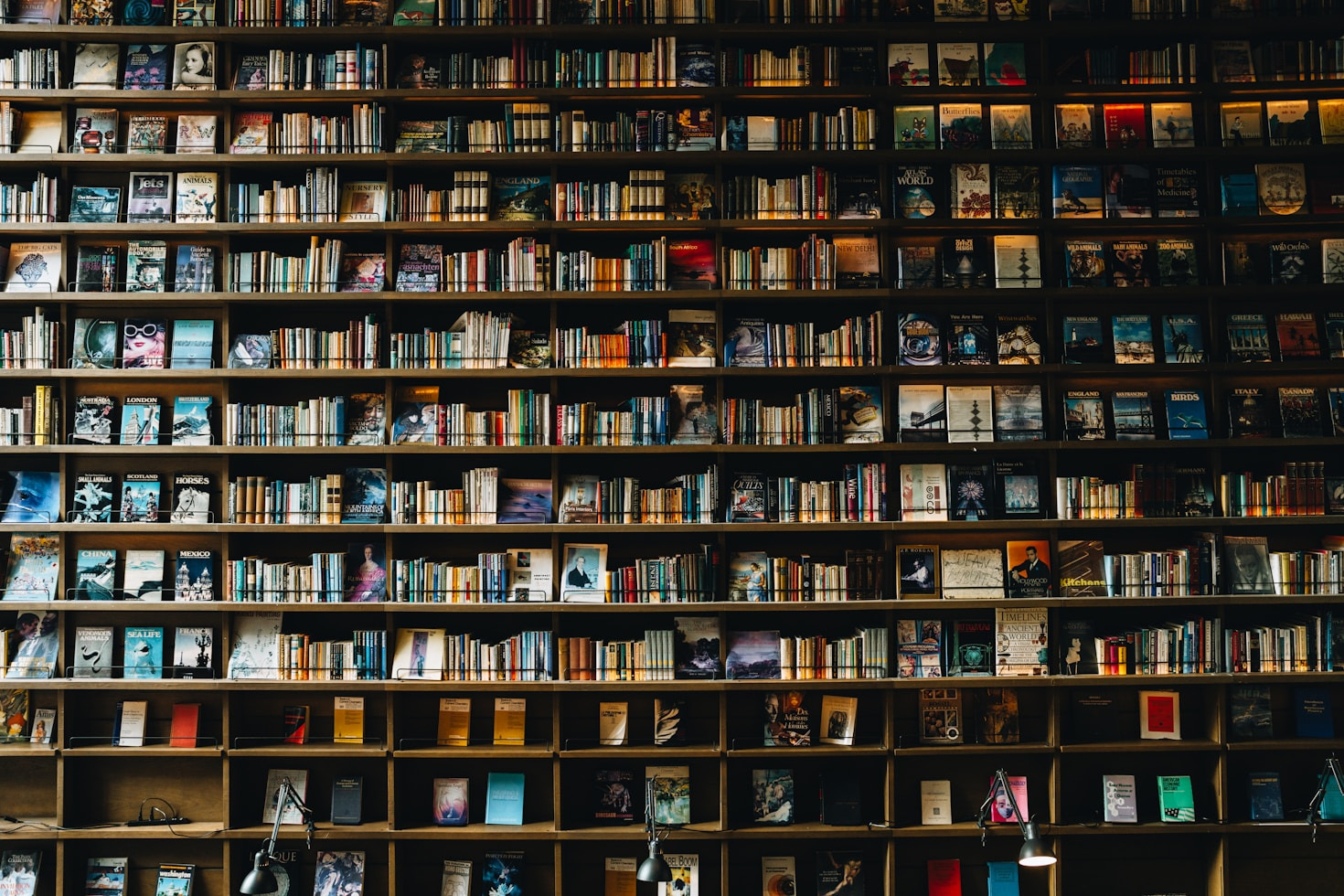 Essential Reads For The Modern Book Lover